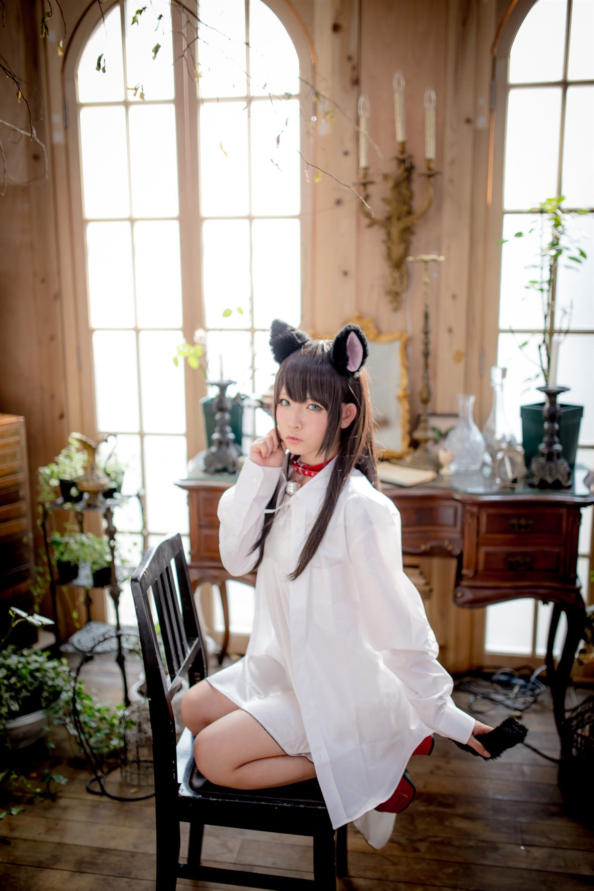 猫耳娘-COS世界